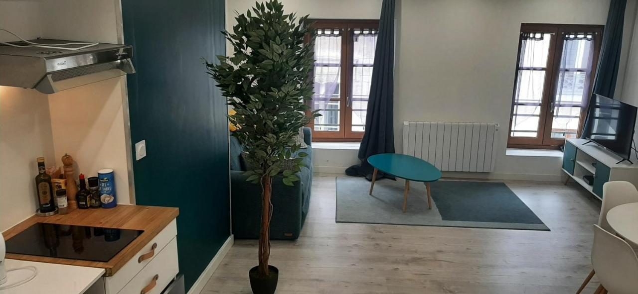 Appartement Netflix Centre De Vienne Pres De Lyon Экстерьер фото